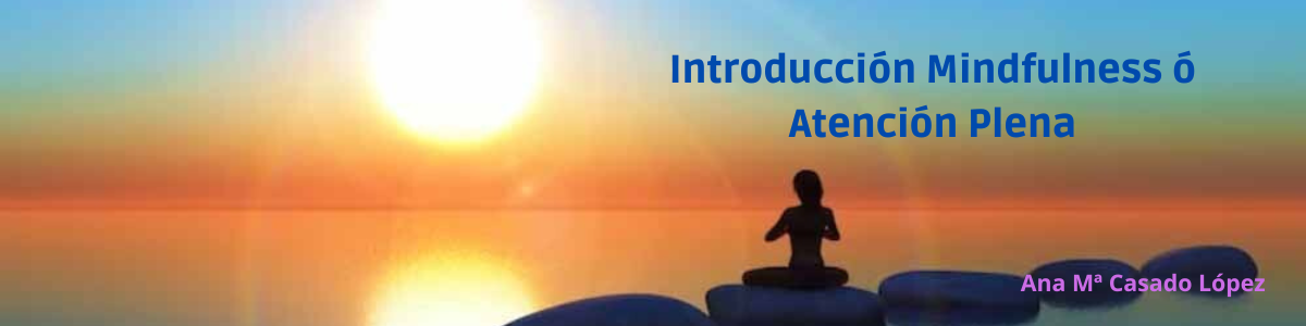 Imagen curso Introducción Mindfulness ó Atención Plena